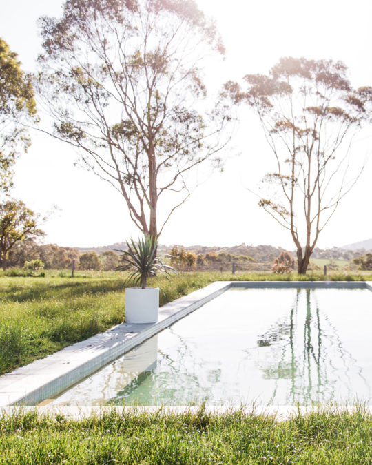 CYLINDER TREE PLANTERS