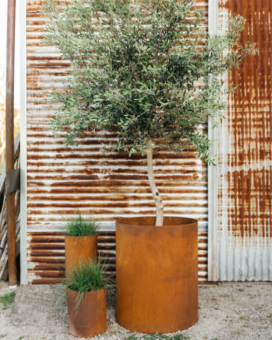 CYLINDER TREE PLANTERS - Image 5