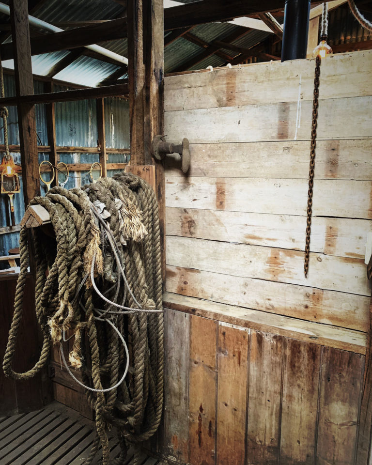 Ashed Rope The Unearthed Garden | STORY 3 – Shearing Shed